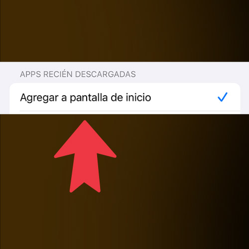 Seleccione la opci&oacute;n 